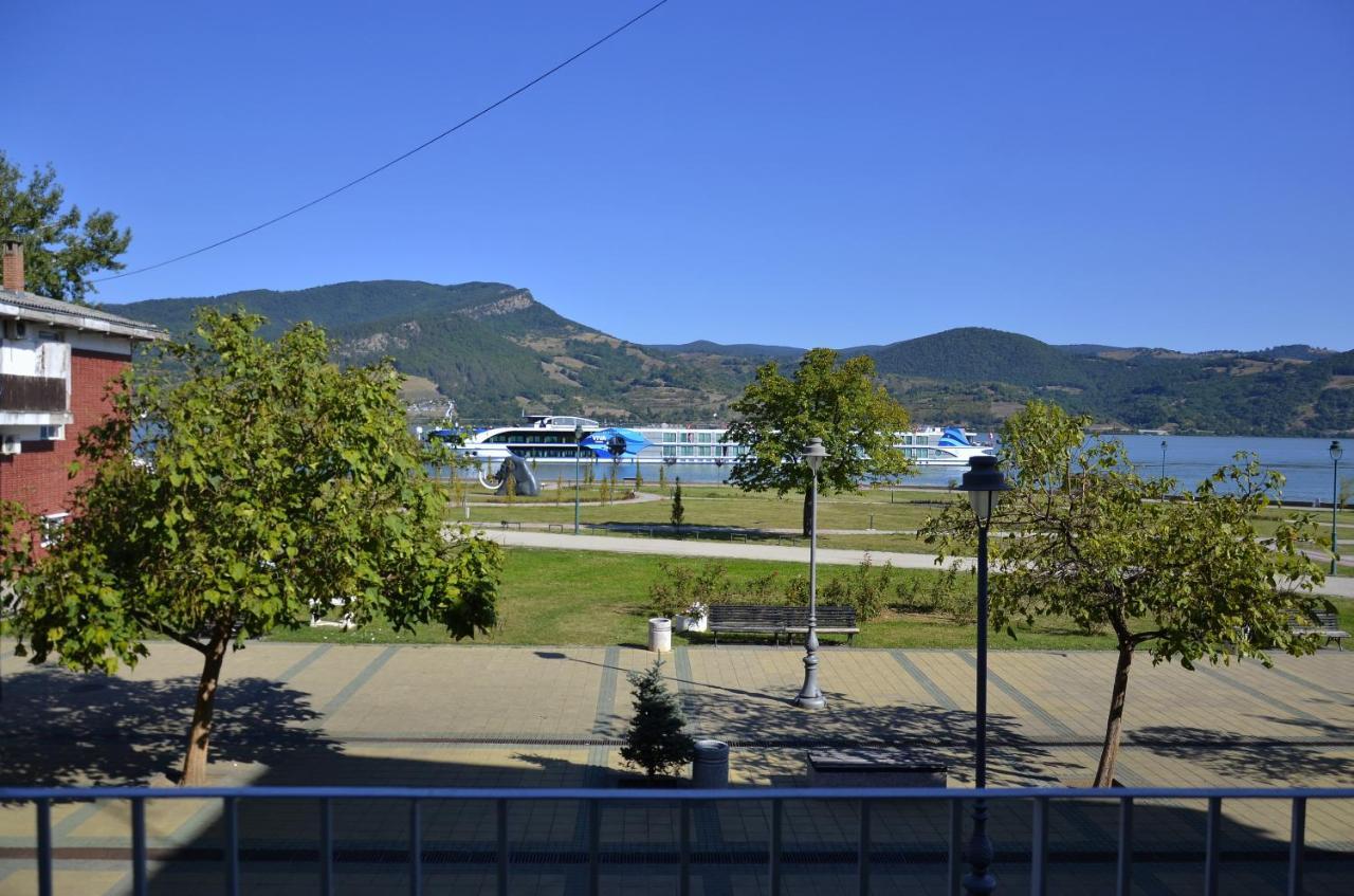 Apartman Terassa Donji Milanovac Exterior foto