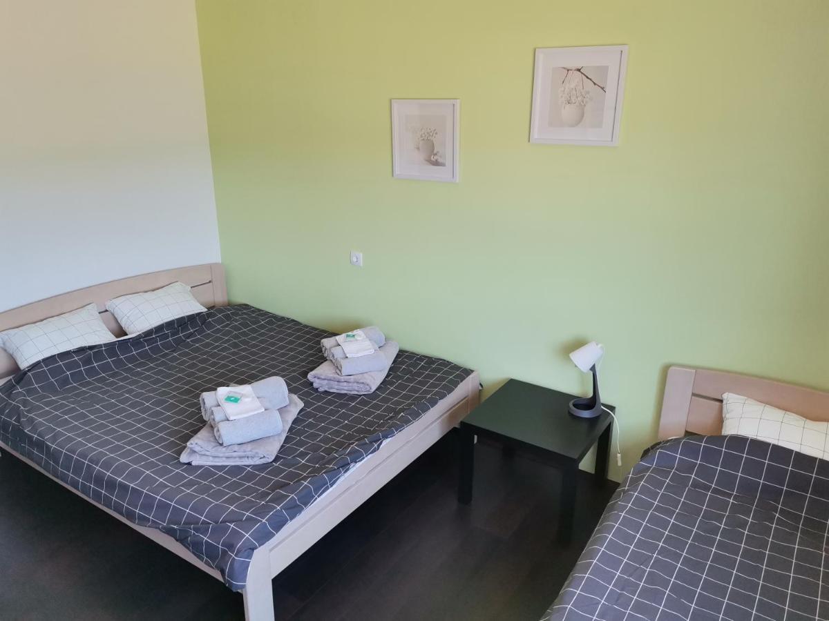 Apartman Terassa Donji Milanovac Exterior foto