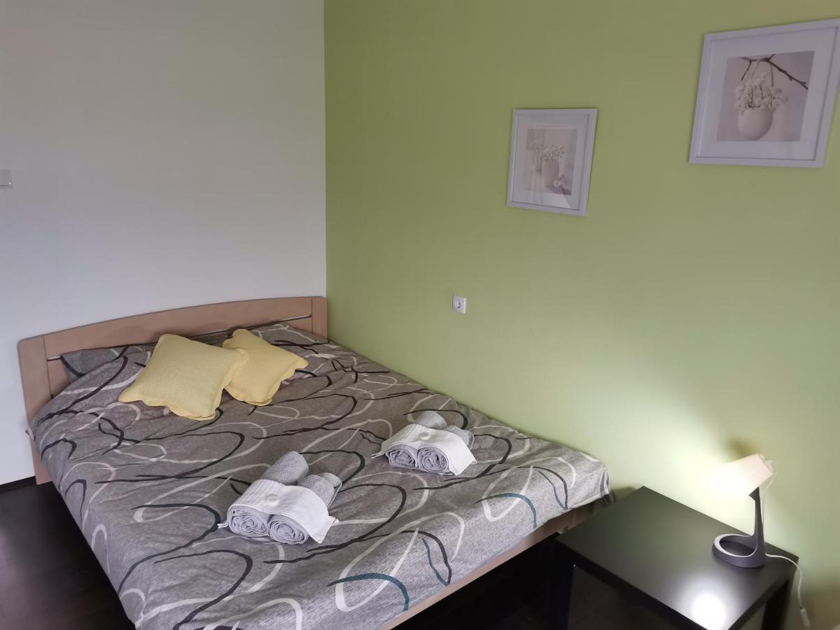 Apartman Terassa Donji Milanovac Exterior foto
