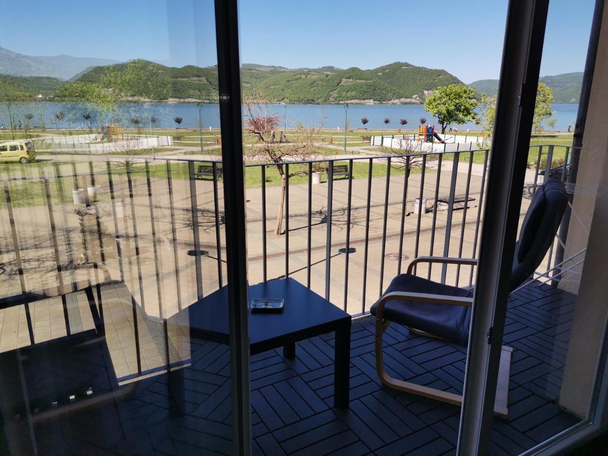 Apartman Terassa Donji Milanovac Exterior foto