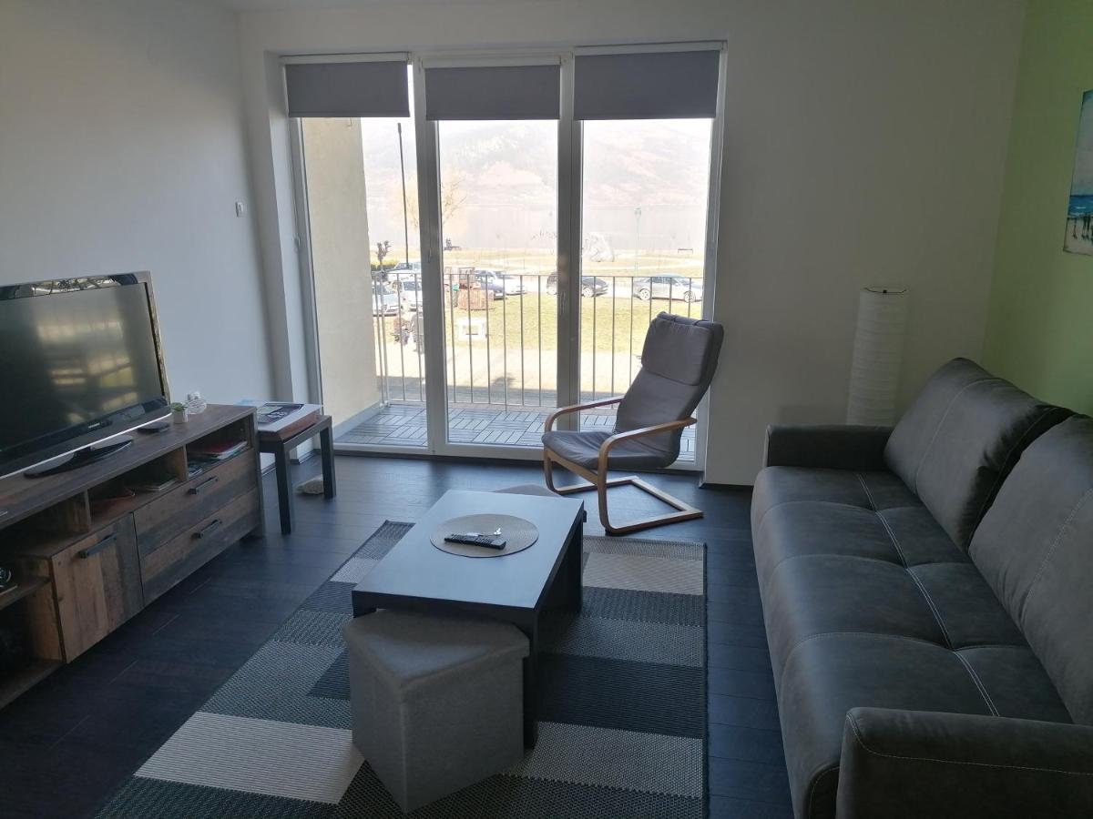 Apartman Terassa Donji Milanovac Exterior foto